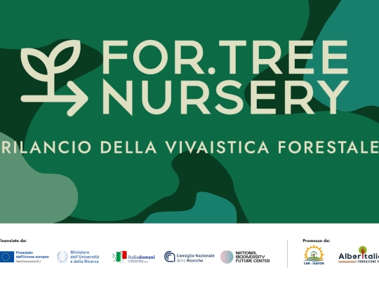 FOR.TREE NURSERY